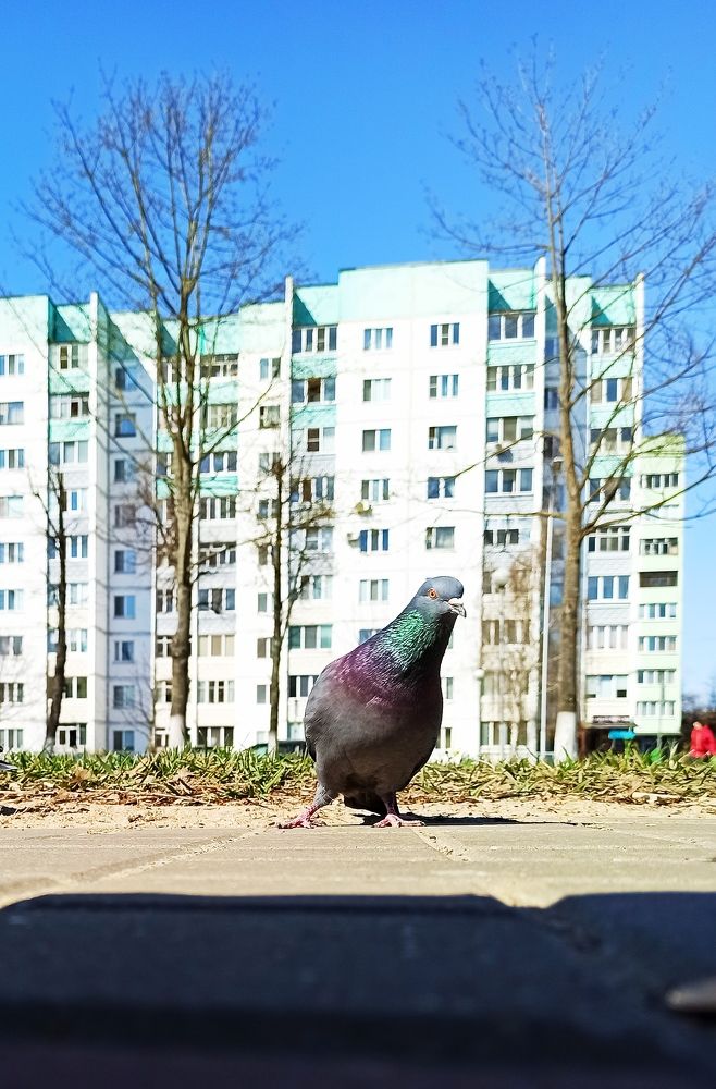 Photograph by Артур Протасевич