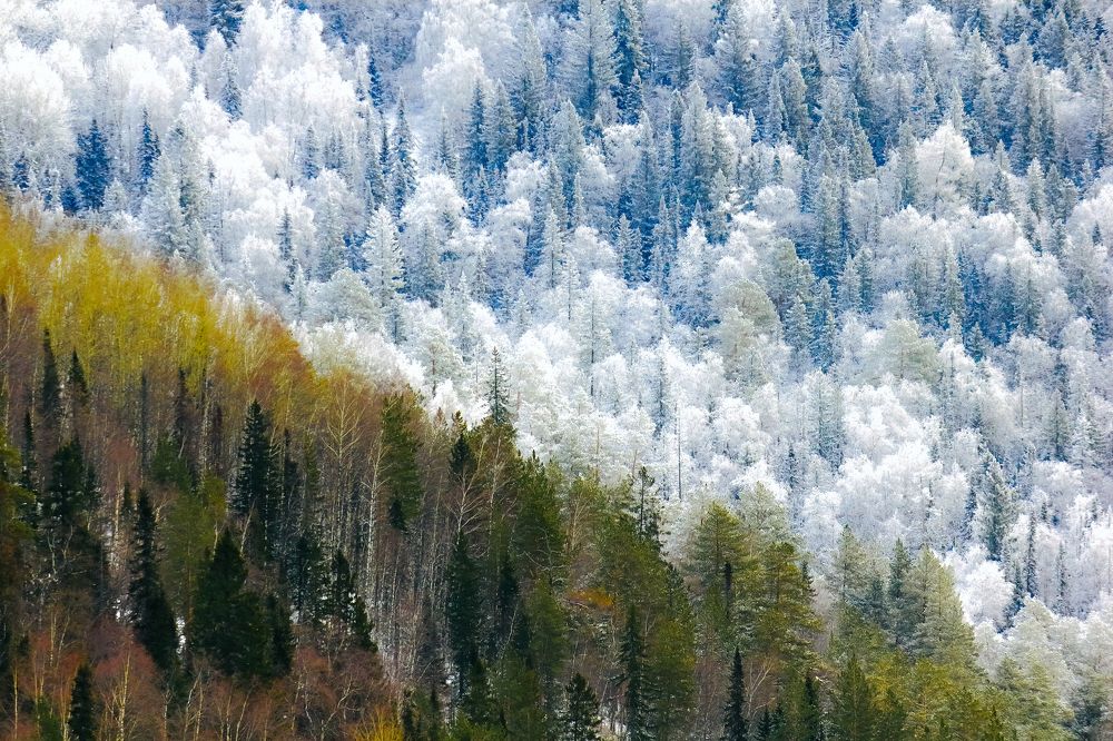 Времена года. Встреча зима и осени