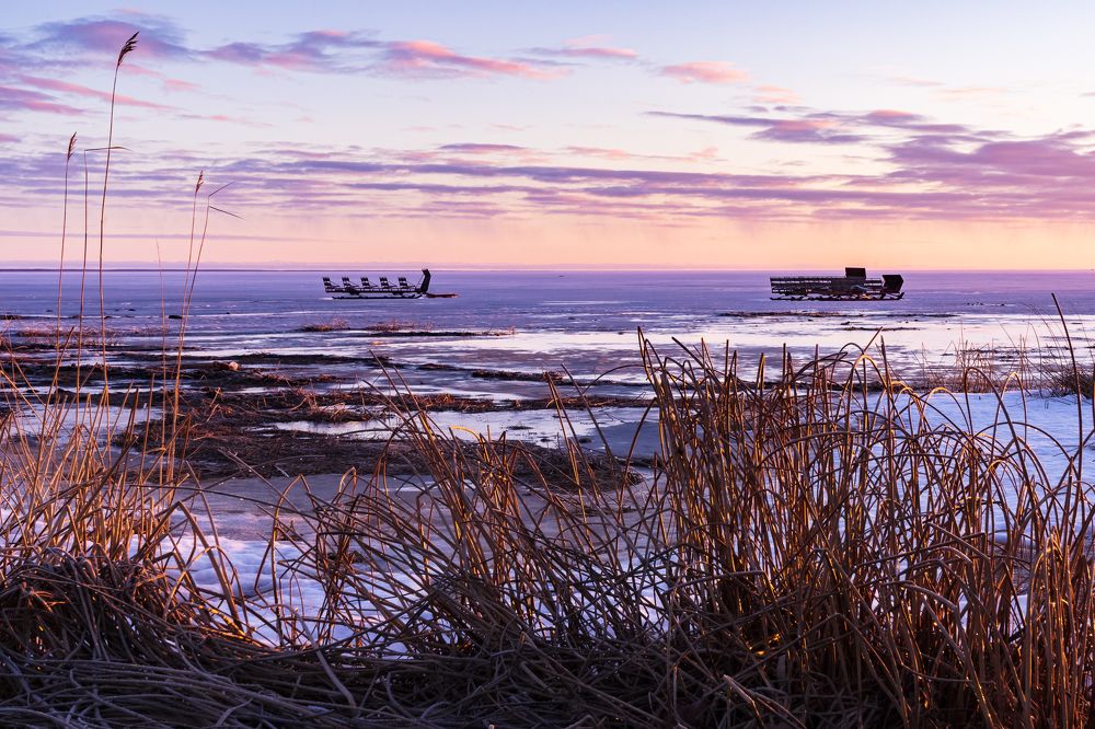 Photograph by Silja Tamme