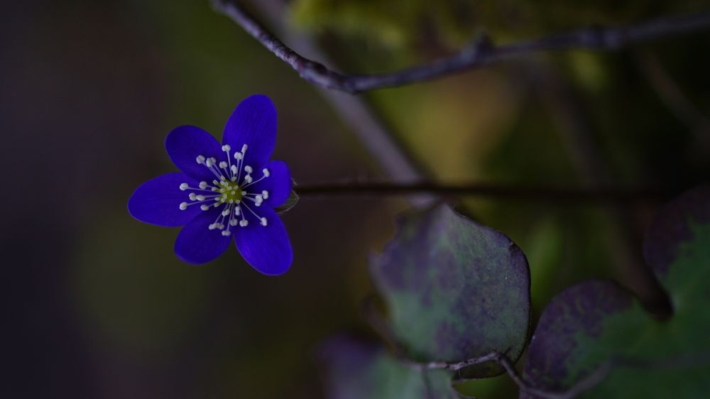 Photograph by  Kelli