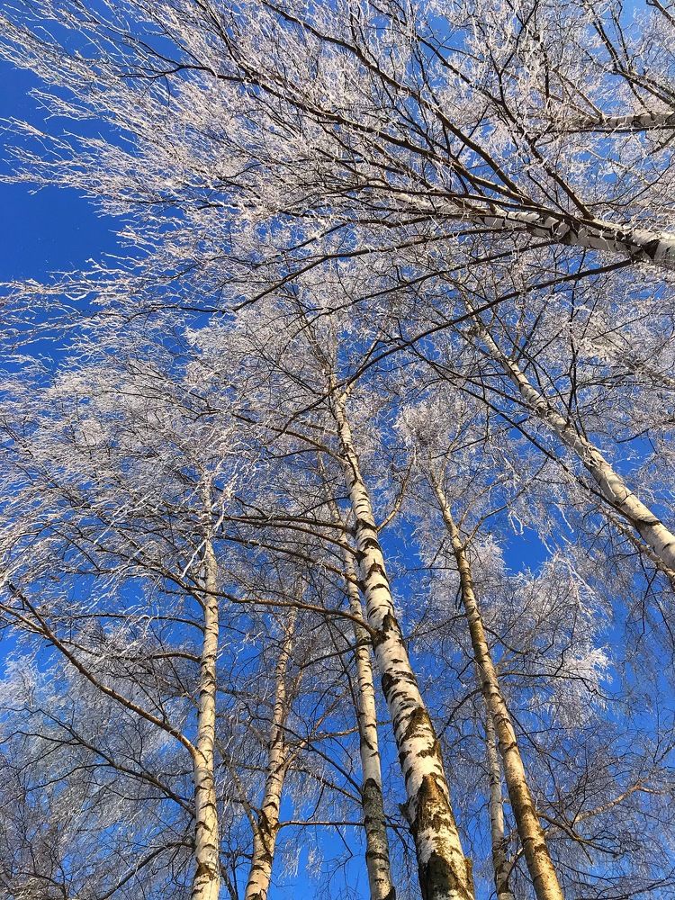 Photograph by Natalija Krucina