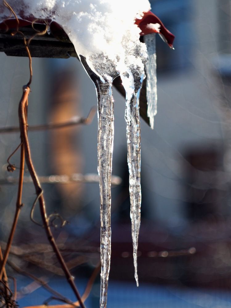 Photograph by Natalija Krucina