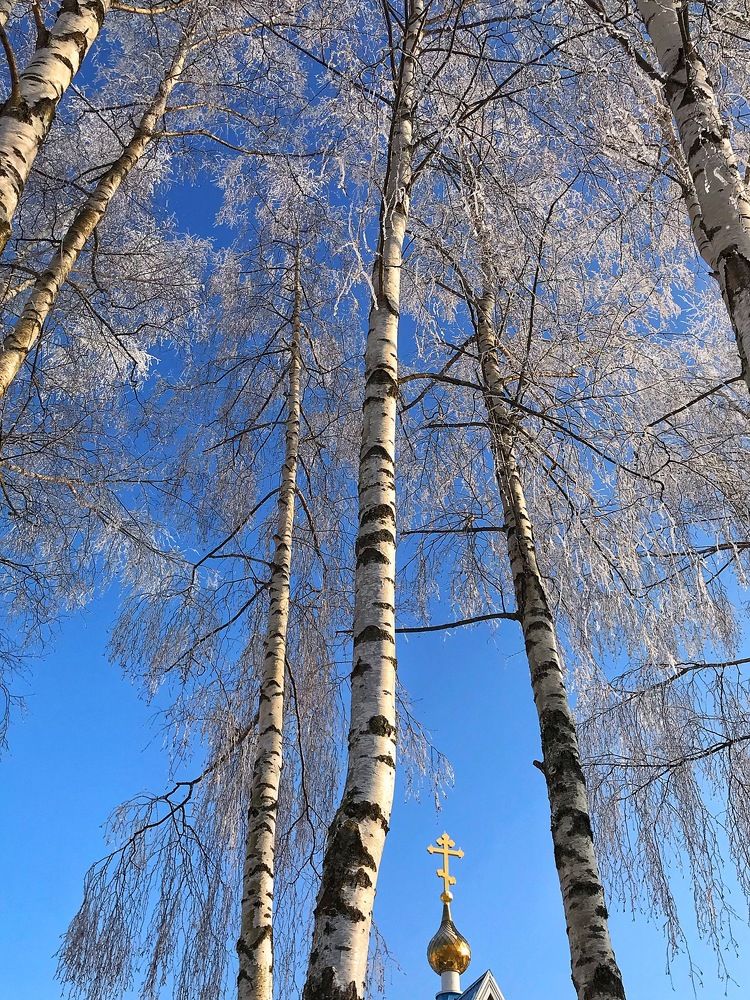 Photograph by Natalija Krucina