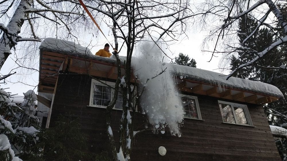 Photo #5932811