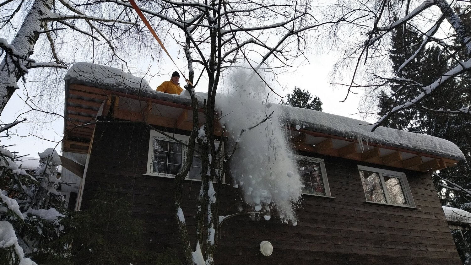 Photo #5932811