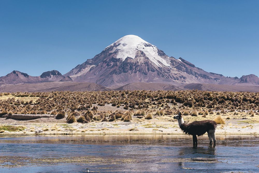 Photograph by Леонид Синев