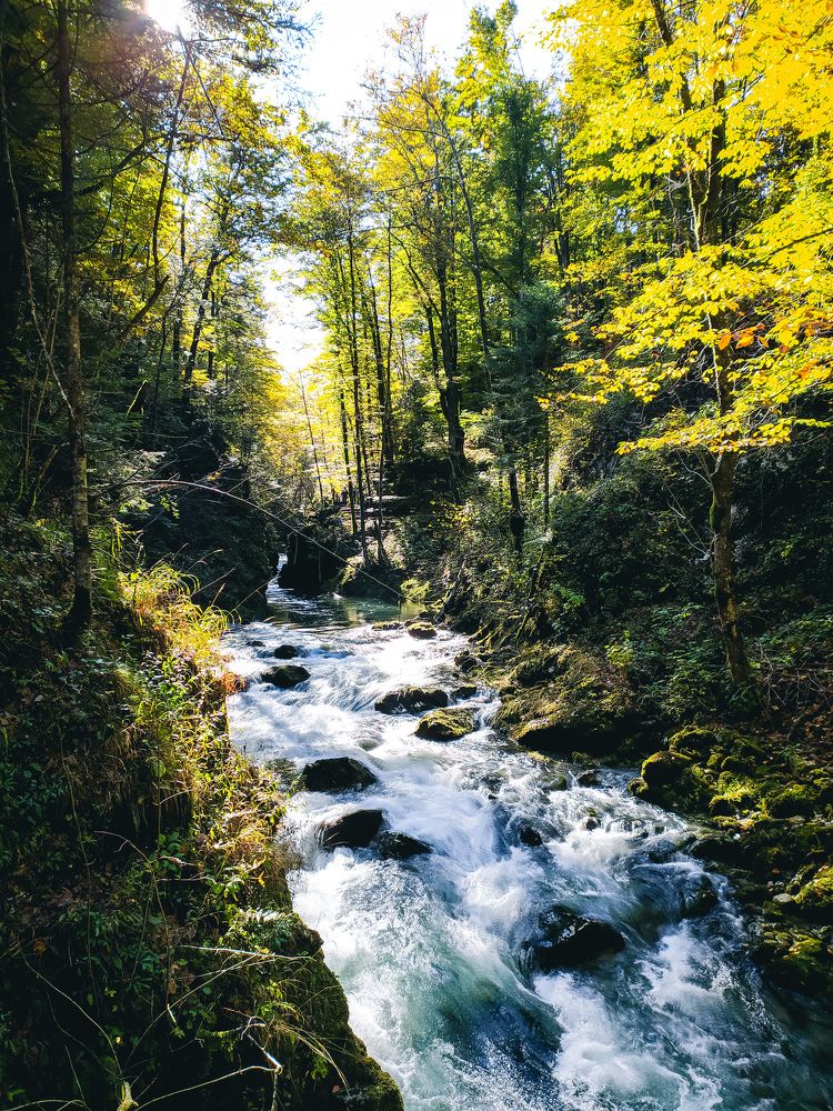 Photograph by Ela Perusic