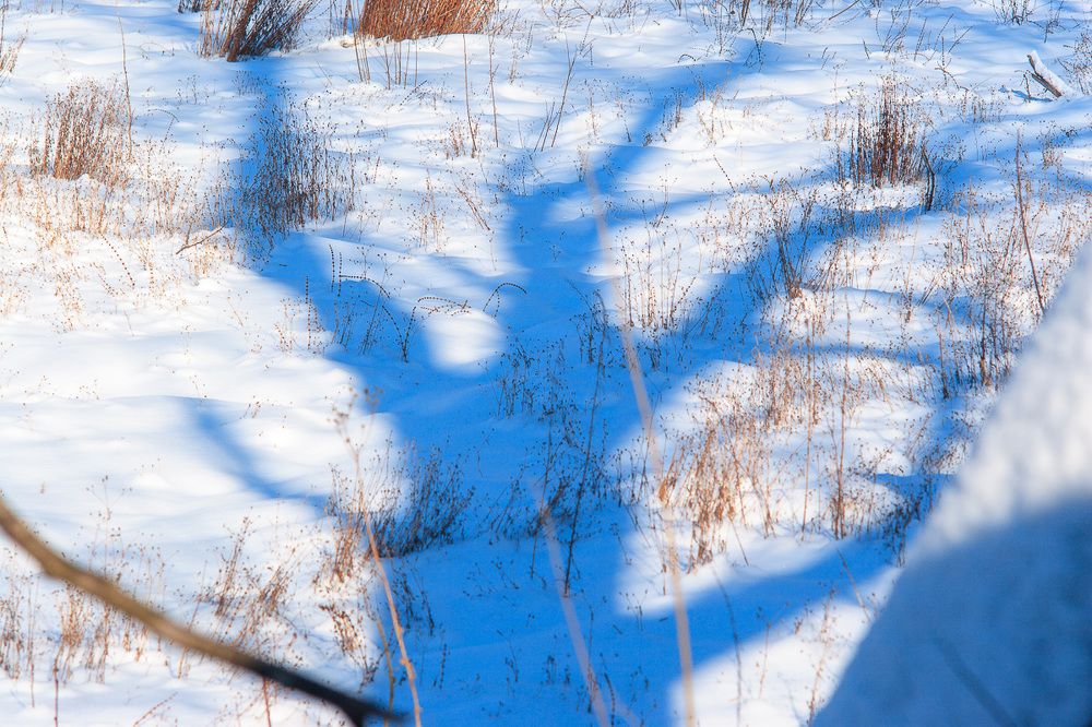 Фотография автора Денис Сухинин