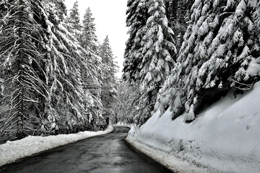 зимняя дорога