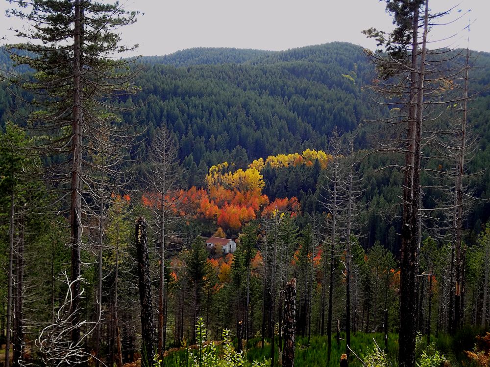 Photo #5932997