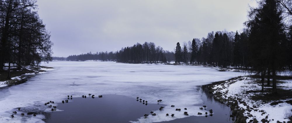 Photograph by Денис Карачёв