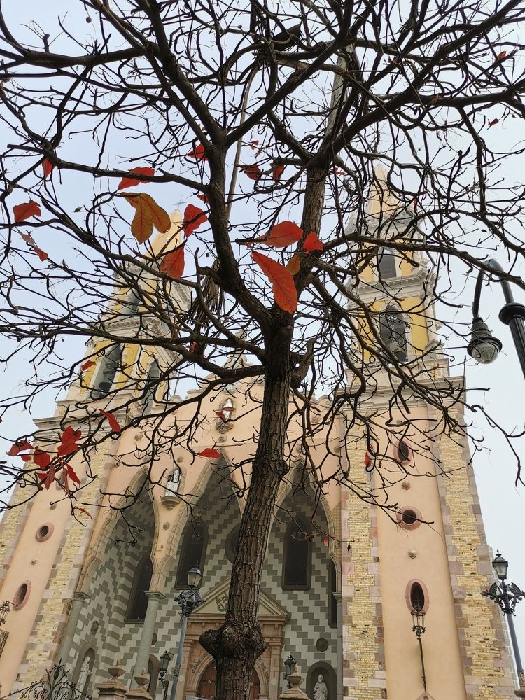 Photograph by Manuel Alencaster