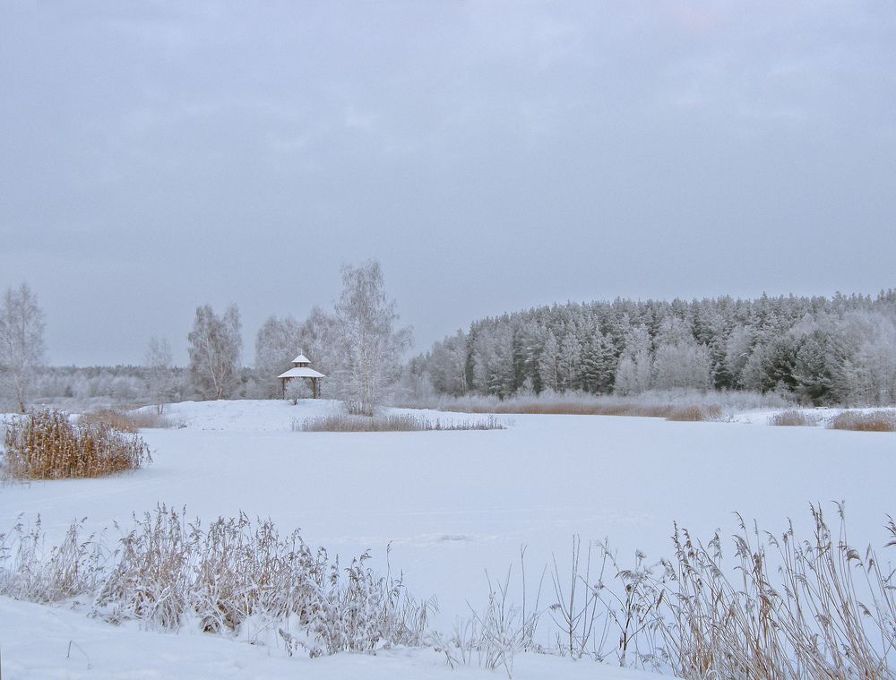 Photo #5933039