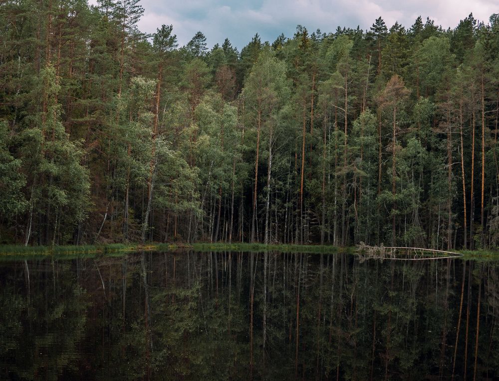 Photograph by Артём Крупецкий