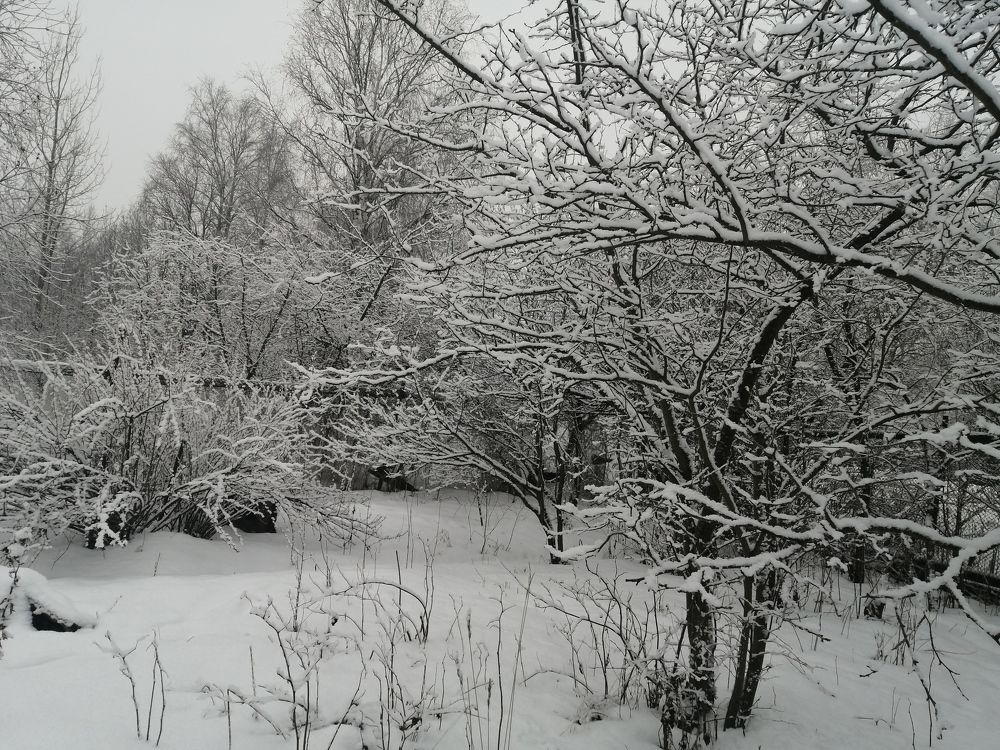 Photograph by Митя Стрельников