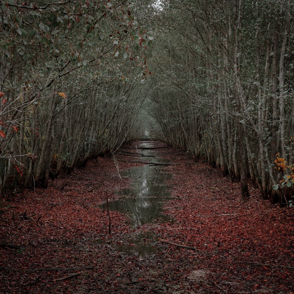 Photograph by Артём Крупецкий