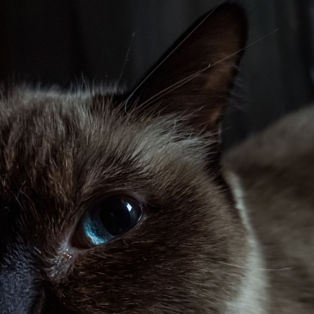 Photograph by Олег Кривлюк