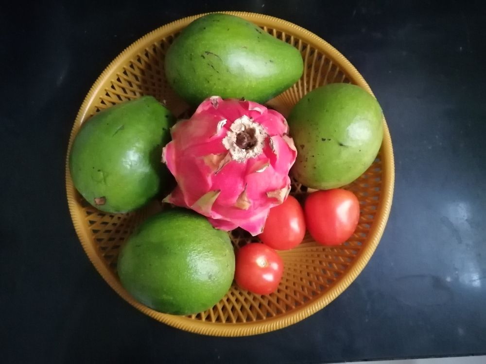 Photograph by Honest