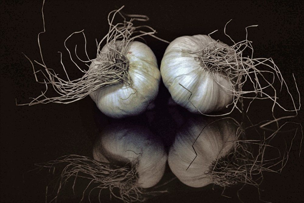 Photograph by Constantin Lazar