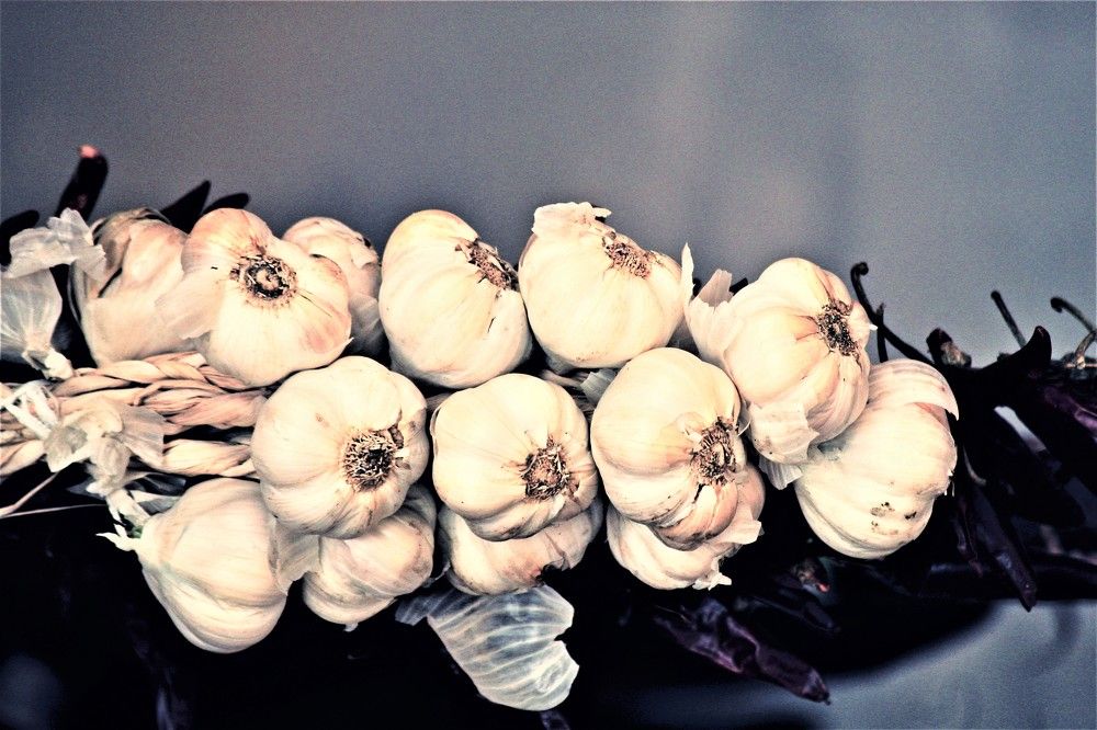 Photograph by Constantin Lazar