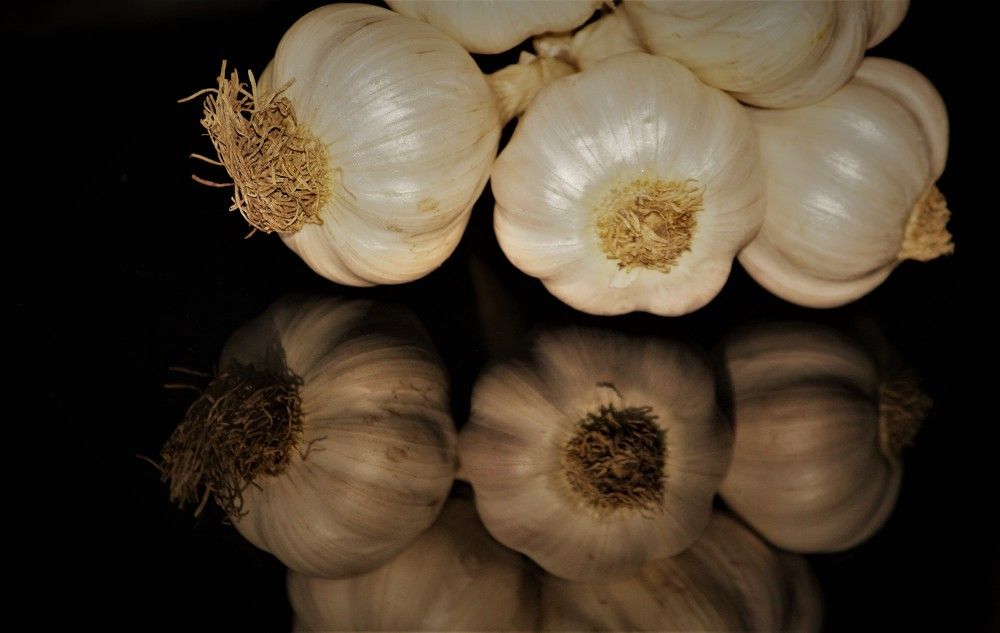 Photograph by Constantin Lazar