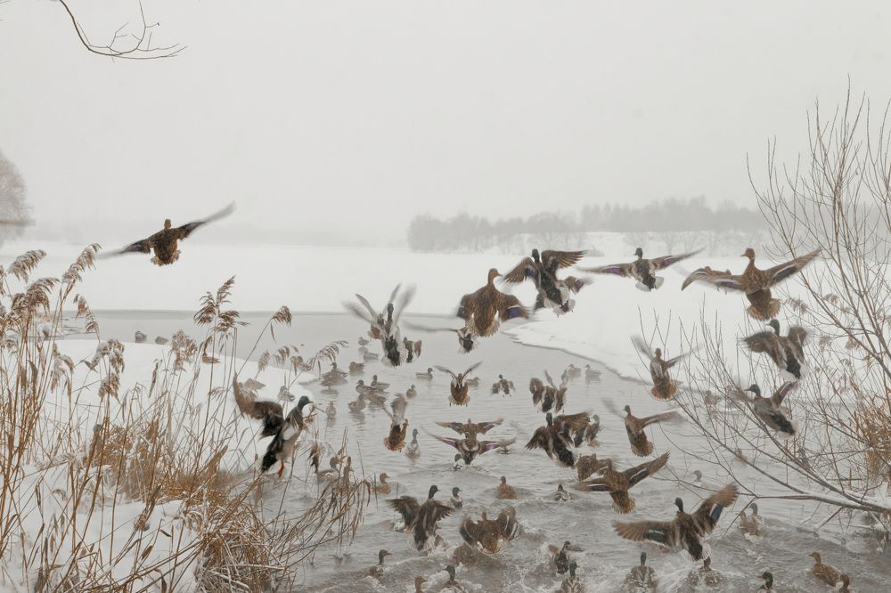 Photograph by Анатолий Калмыков