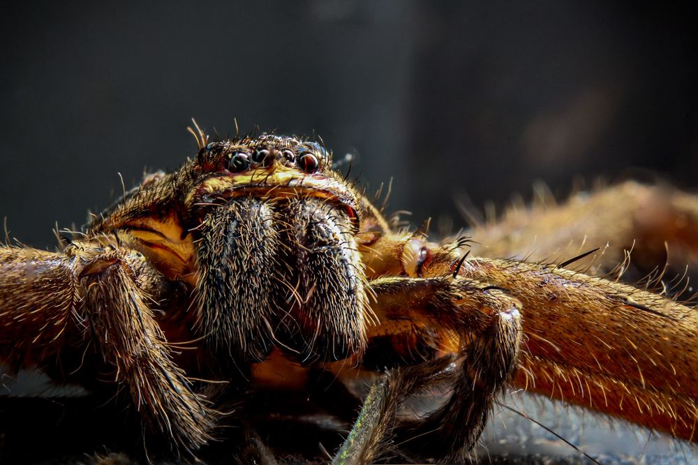 Photograph by Jeff Bugaling