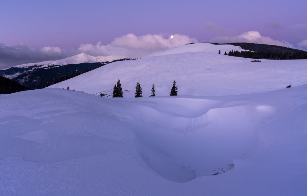 Photograph by Varga Zoltan