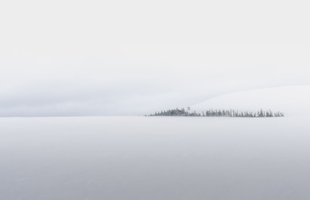 Photograph by Varga Zoltan