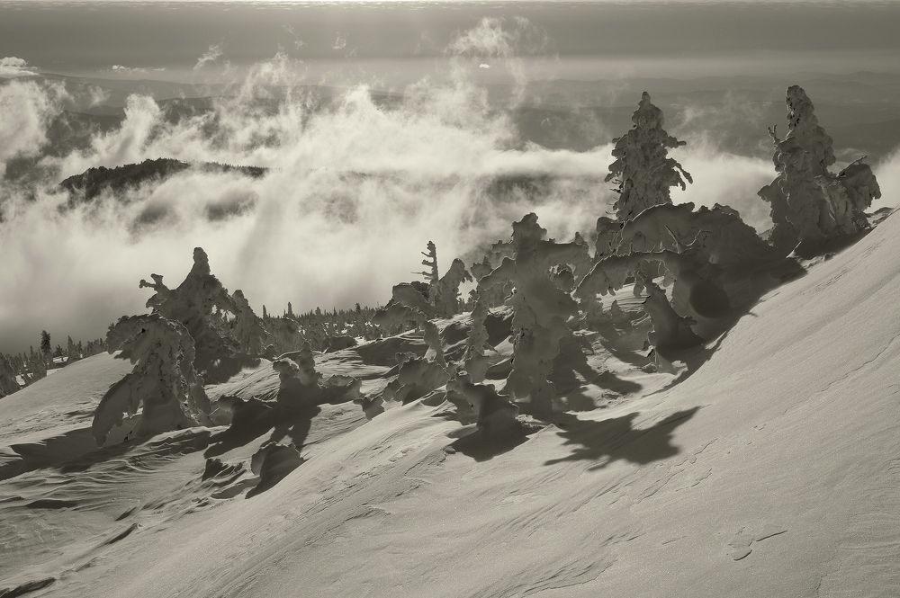 Шорский февраль.