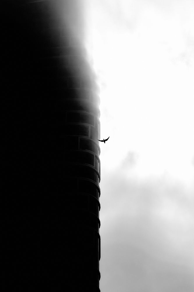 Photograph by Денис Бусел