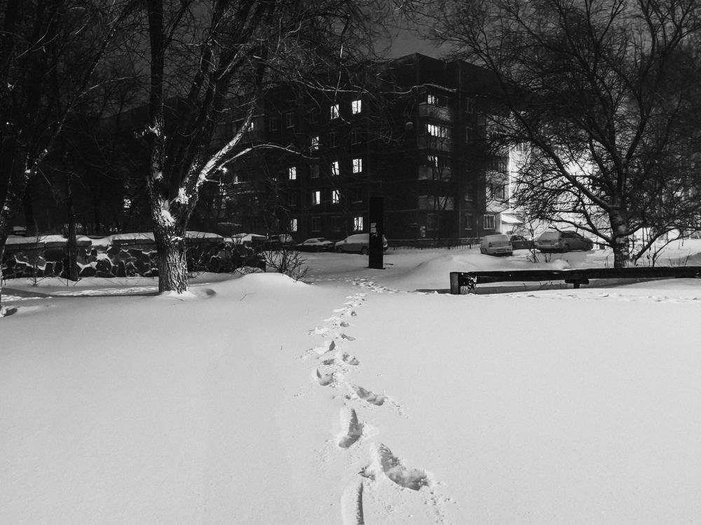 Фотография автора Yermek Zhunusbayev