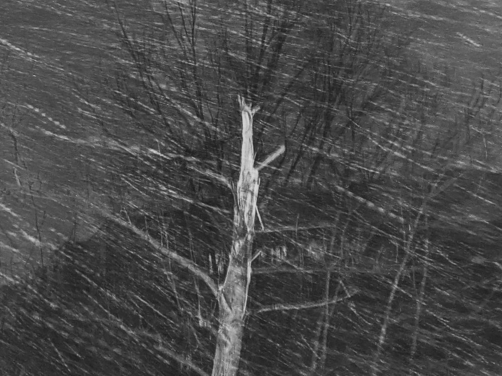 Фотография автора Yermek Zhunusbayev