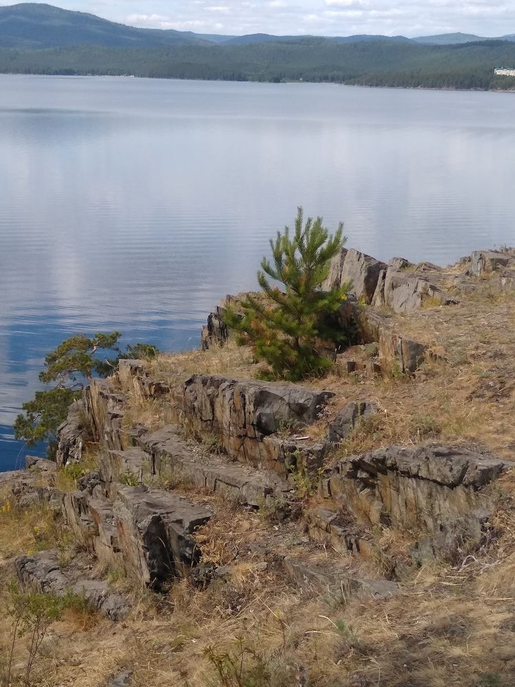 Фотография автора Елена Кобелева