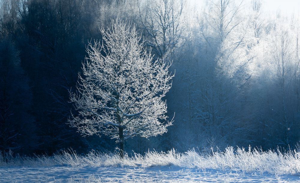 Photograph by Eriks Zilbalodis