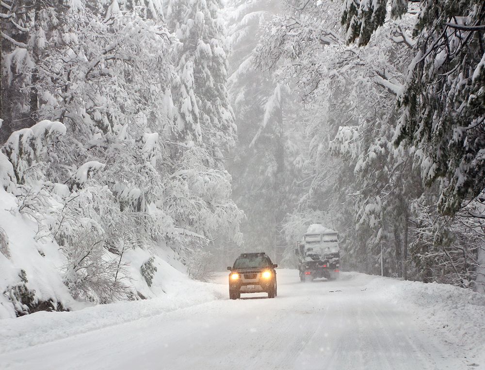 Driving in snowy forest.