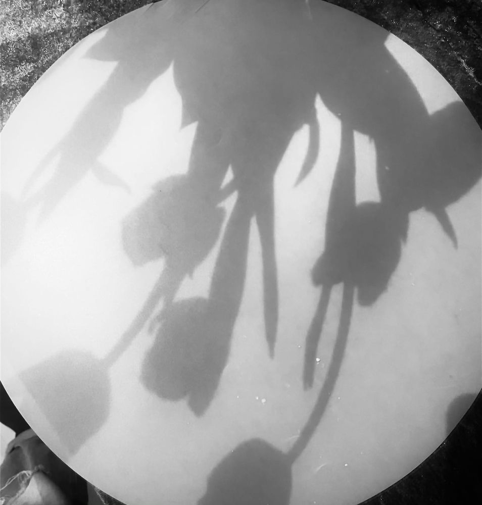 Фотография автора Anna NovaLova