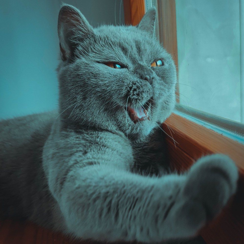 Photograph by Евгений Белов