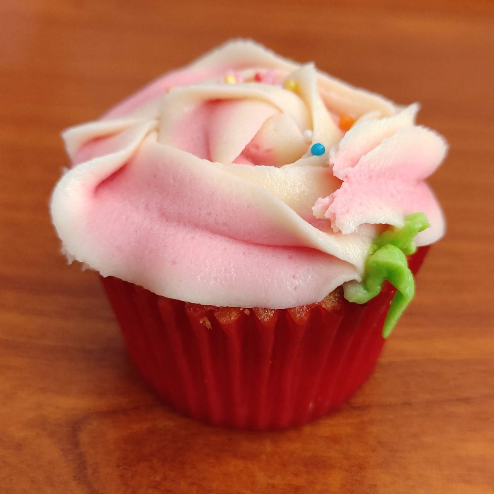 Photograph by Devon Senarathna