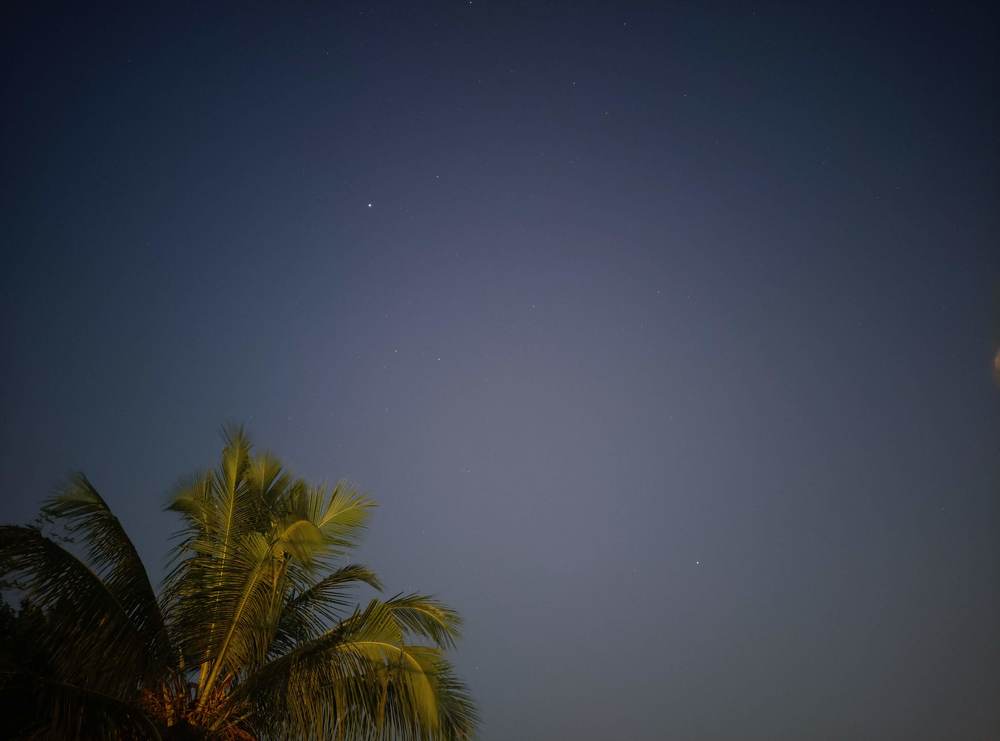 Photograph by Devon Senarathna