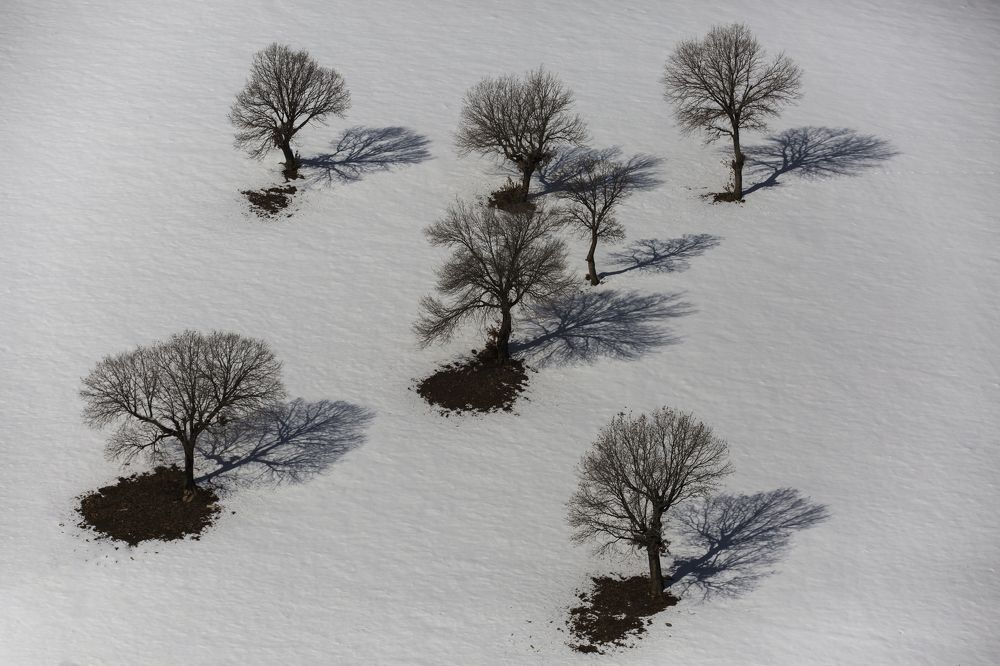 Photograph by aliasadi