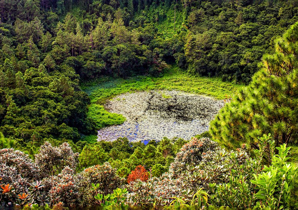 Photograph by Firas Abussaud