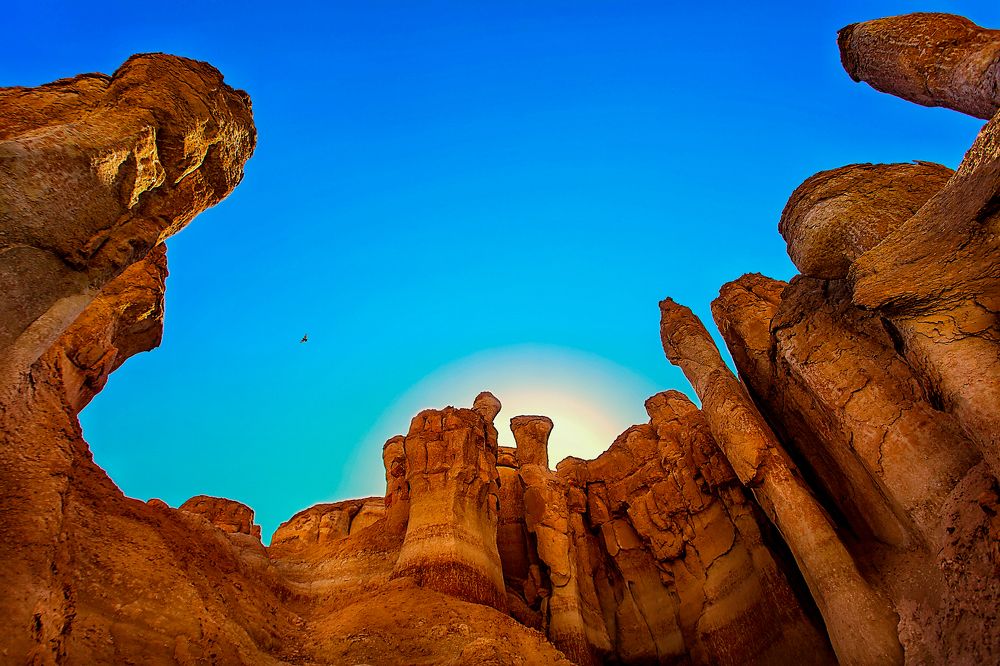 Photograph by Firas Abussaud