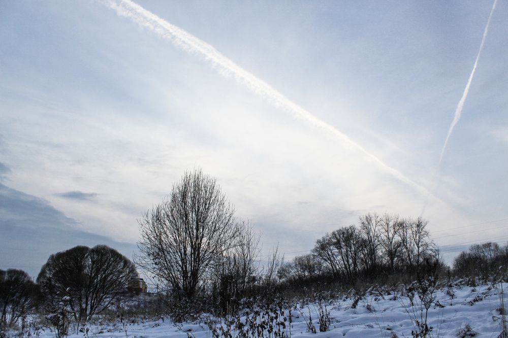 Photograph by Алексей Попов