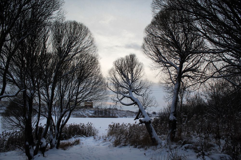 Photograph by Алексей Попов