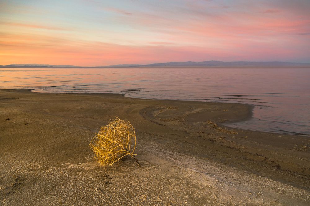 Монголия. Озеро Дурген-нуур