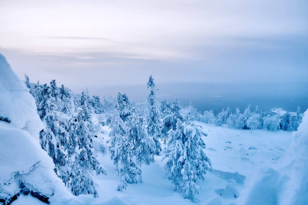 Photograph by Елена Мормоль