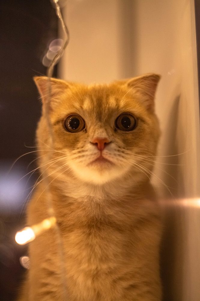 Photograph by Кирилл Митрошкин