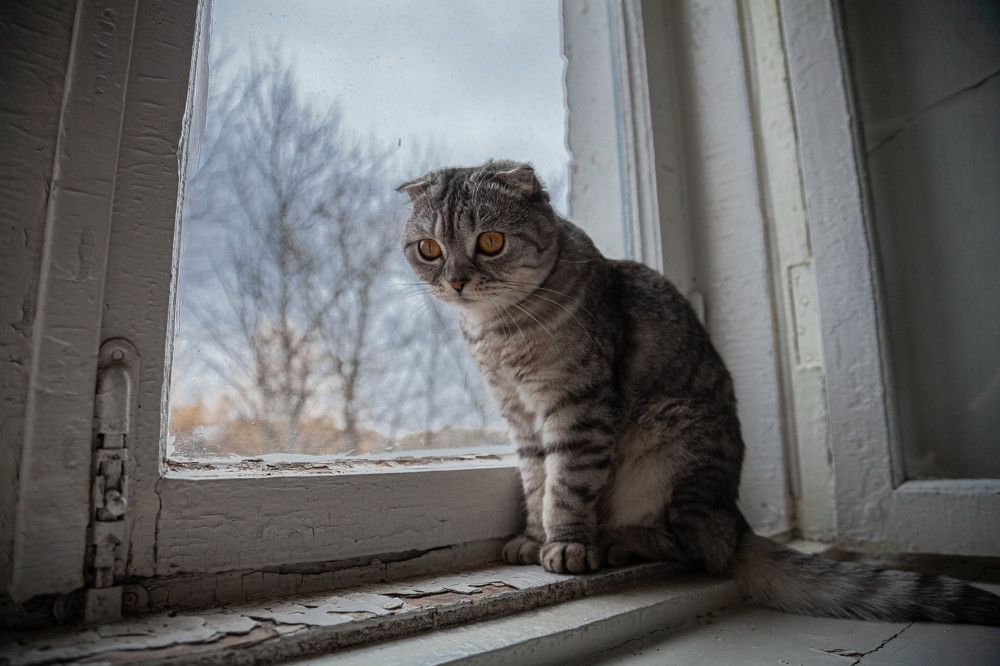 Photograph by Кирилл Митрошкин