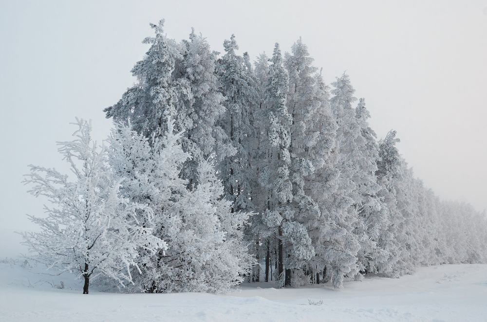 Photograph by Оксана Бабикова